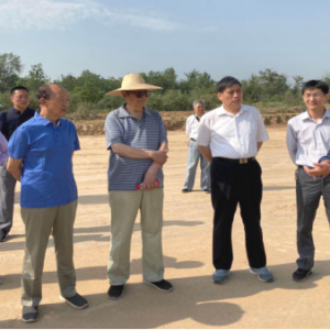 ��������Ͽ����֯�ϸɲ���ѯ���Ӳ����ȫ���ص���Ŀ����