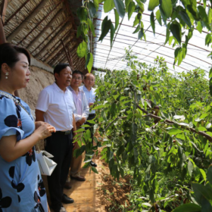 �����������ϸɲ�������߽�������ǧĶ��ʩ��ҵ���ؼ���ܸ̲ȫ����ɳ��ɳ��������