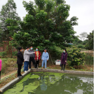 ������ɽ�������˲š�Ϊ��ƶ������������