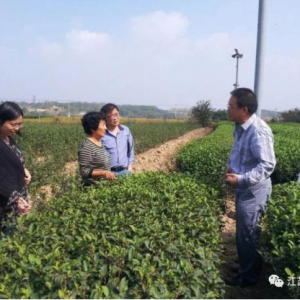 ���գ�����������ˣ���ͽ�ϸɲ����ж�