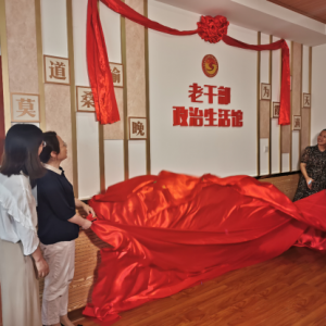 ���Ϲܳ���ί�ϸɲ��ִ���ץʵ�����ݸɲ�������衱