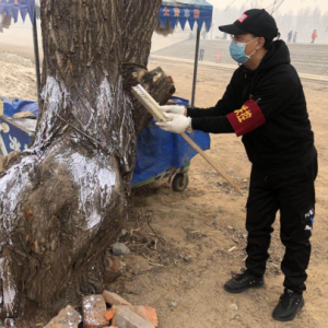 ��������ľ˹������������С�����������������ݸɲ���΢������