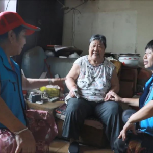 �������γ��и���������š�