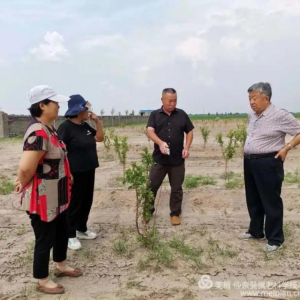 ���ɹ�ͨ�����������Ͽ�Э���¾ٴ�������ƶ����