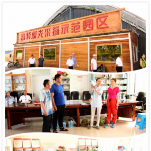 ��������ľ˹ͬ����ί�����ݸɲ�����ί�ٰ조���⵳�ա��