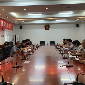 �ĳǸ�����ί�ϸɲ��ֶ�벢��ץ���罨��