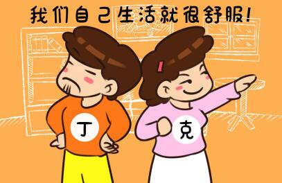 关于“丁克家庭”，您怎么看？