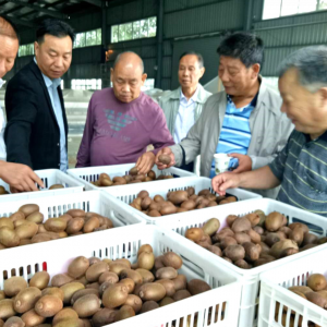 �������гǹ����Ͽ�Э��������ҵ���� ������������