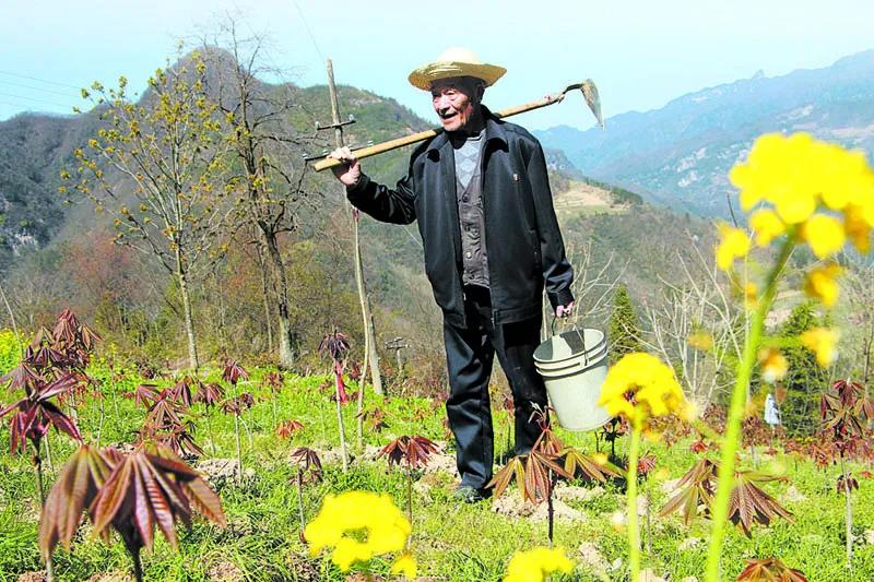 老干一周视点微刊—2020年第36期（总第81期）