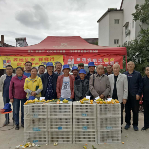 �������гǹ����Ͽ�Э��֯����Ʒ�������