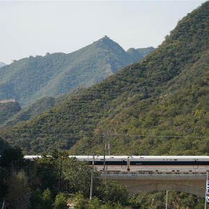 �����й����临�������󡪡�͸�ӡ�ʮһ���ƽ���