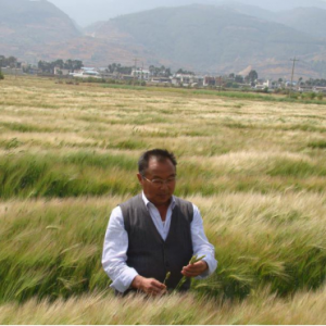 ֣���ģ���ϣ�������Ӳ�������Ұ