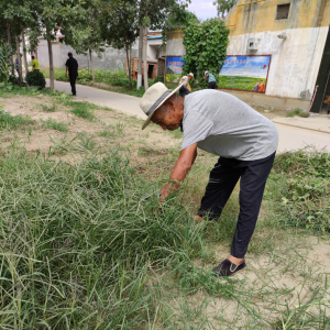 ����ˡ����ׯ���������ġ�����ʦ��