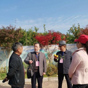 ϲ����ƶ�����³ɾ� ���ܼ����±仯 �����ǹ�����֯���ݸɲ��ιۿ��� ��