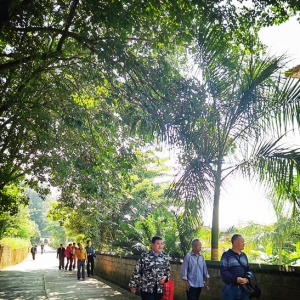 ������˫�����ݼ�ί�ݼ�ί��֯��չ�������ڡ�ο�ʹ���