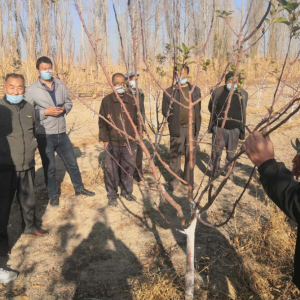 �½��첼�������ר�ҷ������� ����Ⱥ�������