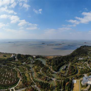 ��ƪ�����£�ԽдԽ���ʡ���ϰ��ƽ����ǽ��տ��켤�����ؼᶨ�߿ɳ�����չ֮·