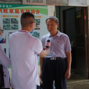 �㶫�ع�ȫ��λ�ƶ������ݸɲ���������̨��