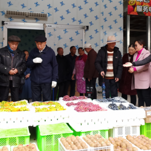 �����������������ϸɲ�Ϊ������о��÷�չ�����ײ�