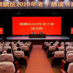 �����������ٰ�2020���ϸɲ������