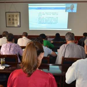 ���ల������������+��ģʽ�����ϸɲ�������Ϣ��ˮƽ