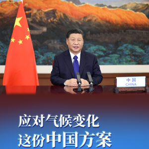 ��һ���� | Ӧ������仯 ����й�����Ӯ������㷺����