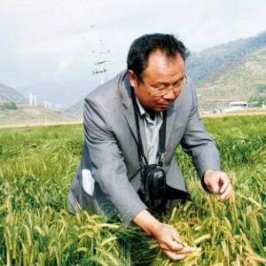 ֣���ģ������̵�׷����