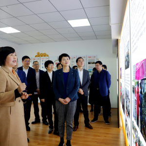 �㽭���������ڡ���ά���ϡ��¸���������ϸɲ���������Ϊ