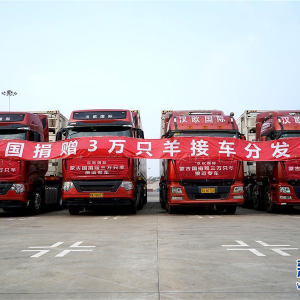 ���������������ǰ�еķ��򡪡�2020���й�Ԫ���⽻����