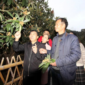 ������Ϯ���㽭·����λ�ϸɲ������С�����Ӱ�ر���ů