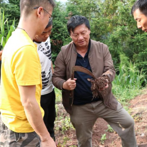 ���������У�����Դɣ�ܡ���͡�Ϧ���족