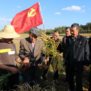 �����������������˲š�չ�֡�Ϧ����ɡ�