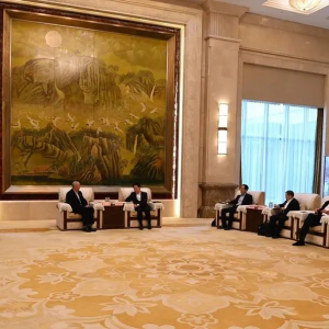 ʹ���ڼ磬����ǰ�� �����̵��Ͳ��ϸɲ�����2020������˲��