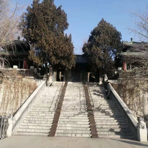 �����󸴽�40�꣬�����������һ��������