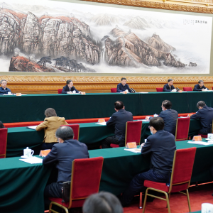 ��һ�۲�������ᡰ���ڡ��ٿ�������󵳵�ִ������