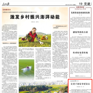 �����ձ����޶�Ӫ�����ϸɲ�����������