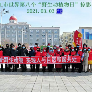 ������ͬ���У�����Ұ������ֲ�� ������̬����ƽ��