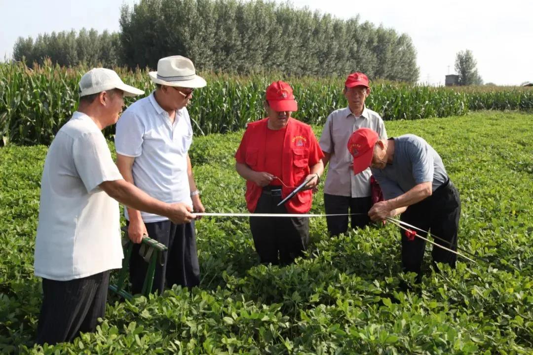 老干一周视点微刊—2021年第31期（总第125期）