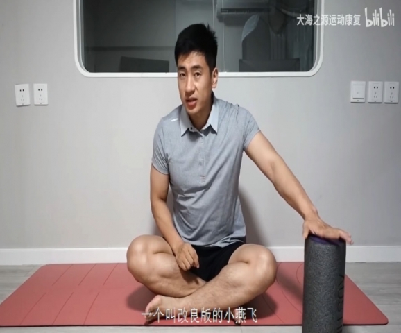 改良版小燕飞