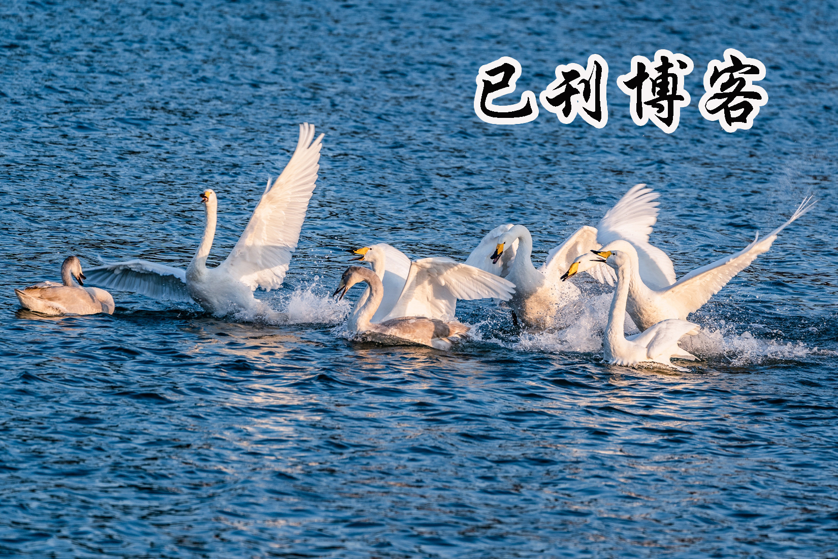 刊网互动（2023年度）