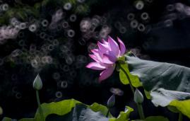 һ