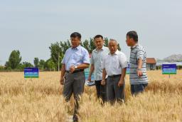 Сջʱ