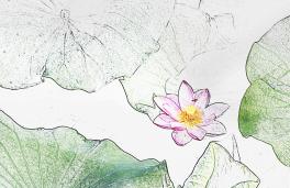 ʫ