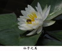 ֮