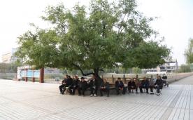 ���������ˡ�