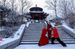 �л������������