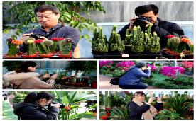 ��������Ӱ�ˡ�