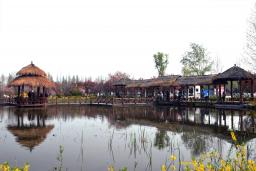 ����С��羰