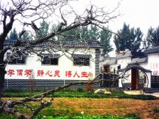 ��������塷