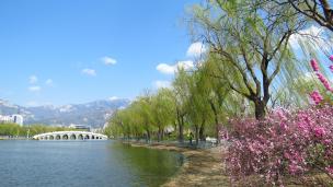 �����Ϻ�